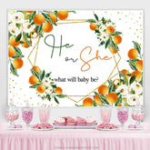 Boho Thema Weiss Er Oder Sie Was Wille Baby Sei Hintergrund